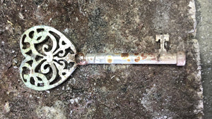 
                  
                    chastity-shop Keys with cylinder lock Lady Grace
                  
                