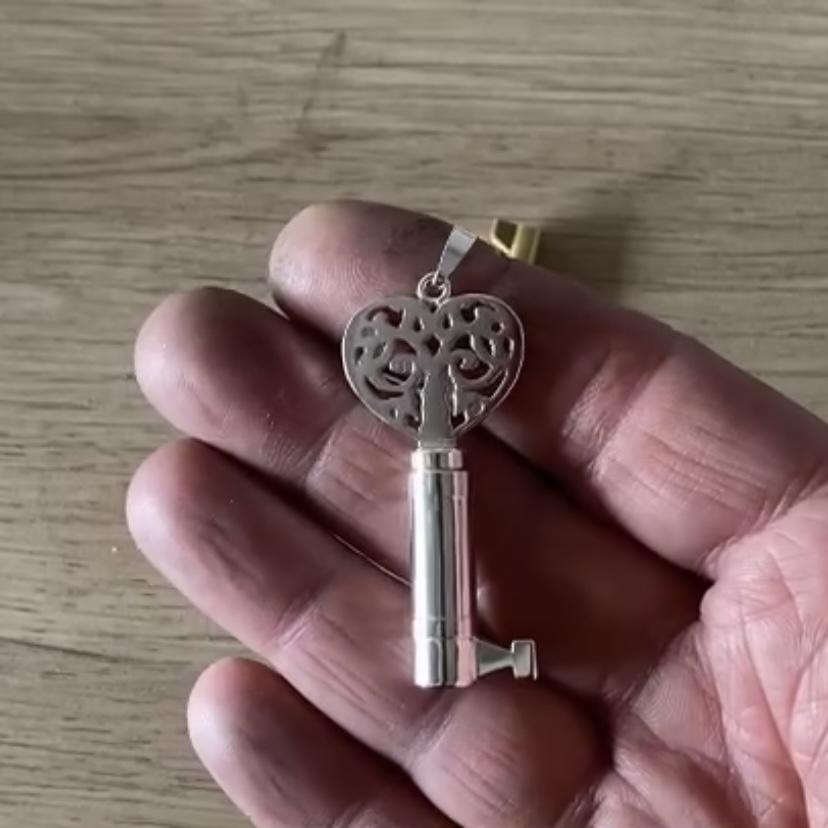 
                  
                    chastity-shop Keys with cylinder lock The Secret Lady Grace
                  
                
